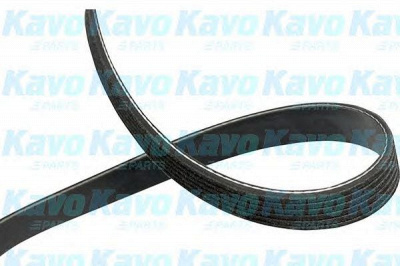 KAVO PARTS dmv1518 -  Поликлиновой ремень
